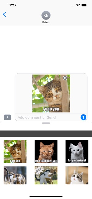 Funny Cats Animated Stickers(圖5)-速報App