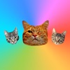 Cat Stickers for Messages