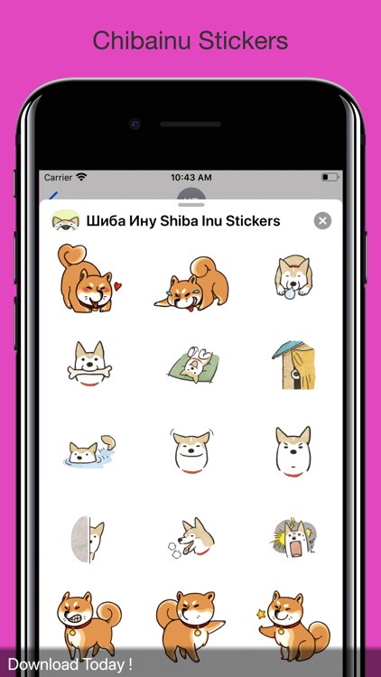 Шиба Ину Shiba Inu Stickers