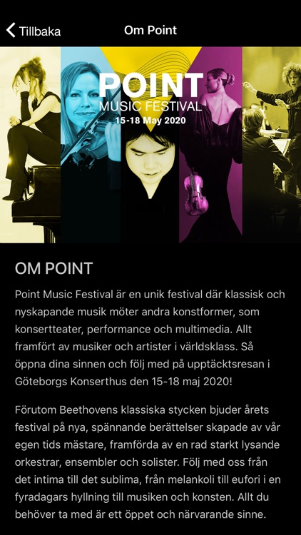 Point Music Festival