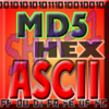 Evgeny EGOROV - ASCII HEX BASE64 MD5 BIN コンバータ アートワーク
