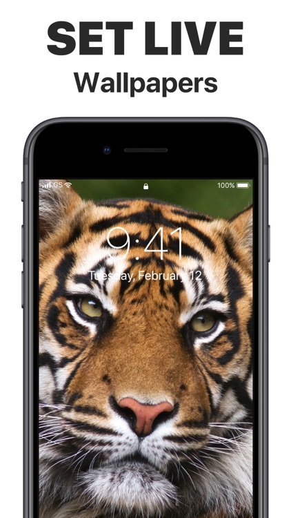 Live Wallpaper & ASMR Studio screenshot-3