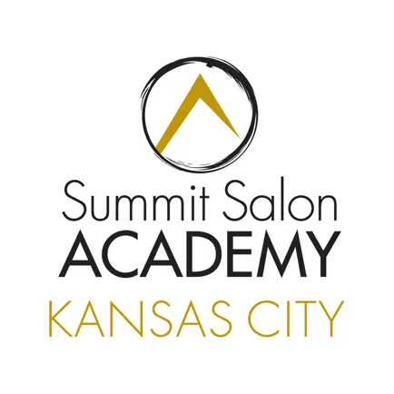 Summit Salon Academy Читы