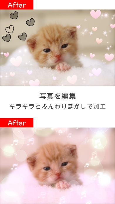 キラキラ加工 Lite 写真加工アプリ Iphoneアプリ Applion