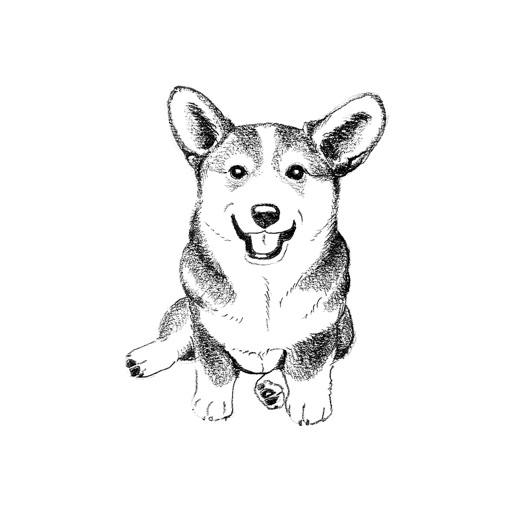 Dogs Drawing
