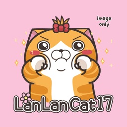 Lan Lan Cat 17 (Image)