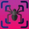 Spider Scanner