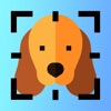 Dog Breed Identifier AI