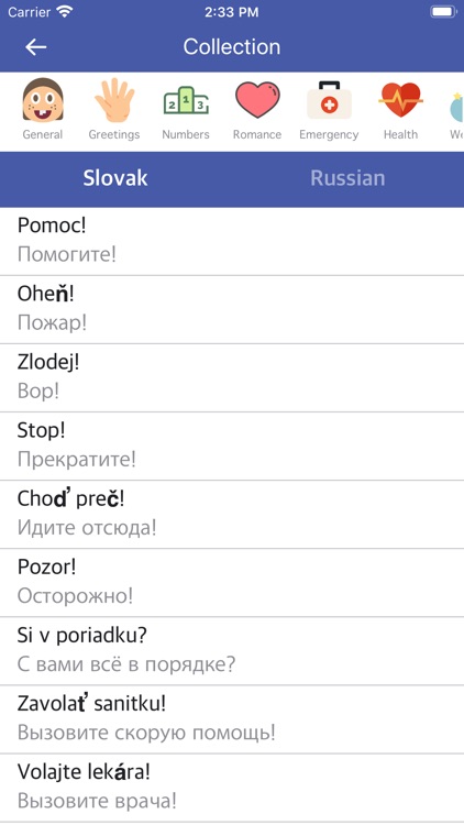 Slovak Russian Dictionary
