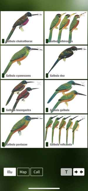 All Birds Colombia field guide(圖5)-速報App