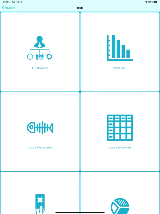 Captura de Pantalla 4 Lean Six Sigma Companion iphone