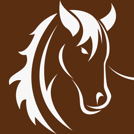 Horseman icon