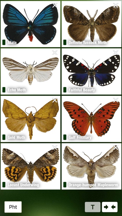 Caterpillar Id USA East Coast screenshot-5
