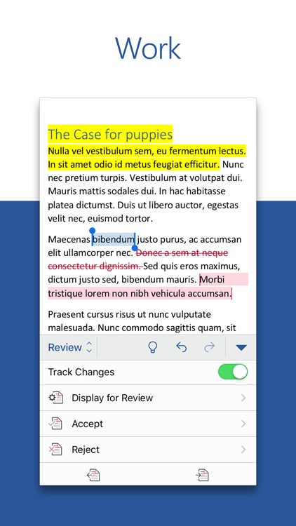 Microsoft Word
