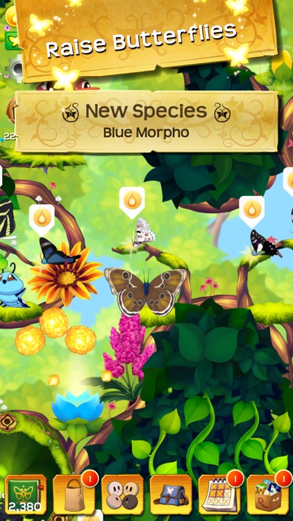 Flutter: Butterfly Sanctuary screenshot-4