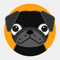 Unpug Digital Detox Routine