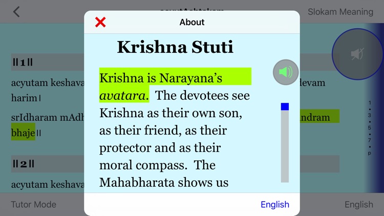 Krishna Stuti screenshot-4