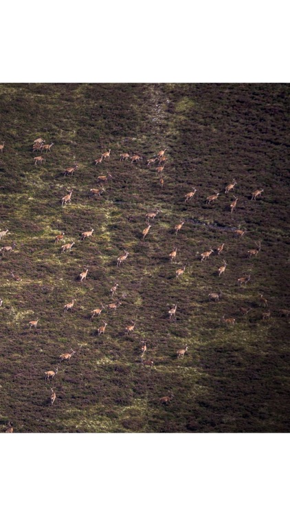 Fieldsports Magazine screenshot-3