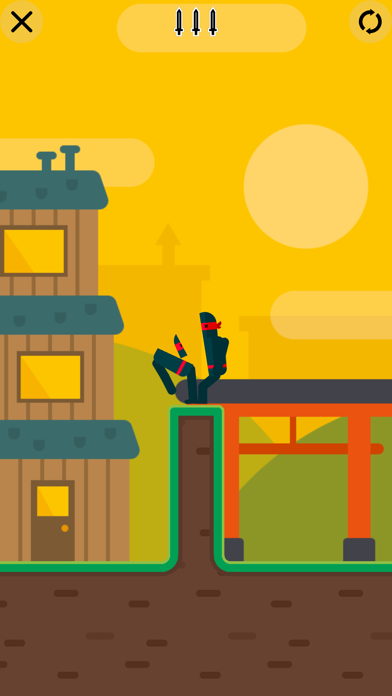 Image of Mr Ninja - Slicey Puzzles