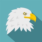 Animals  Wild Birds Quiz