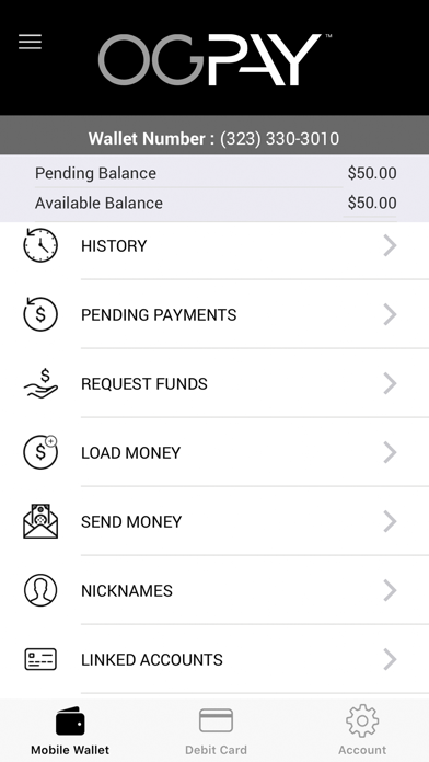 OGPay Business screenshot 2