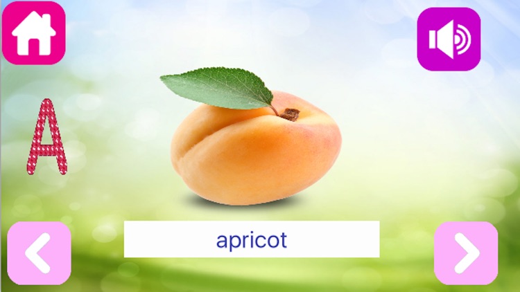 Fruit learning Flash Card kids