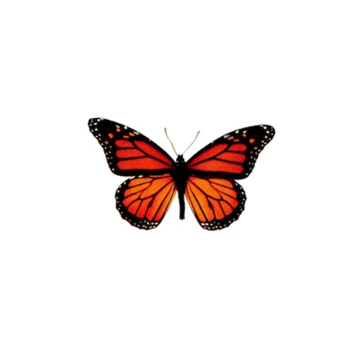 Vintage Butterflies Stickers