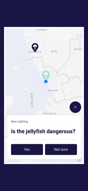 JellyFinder(圖3)-速報App