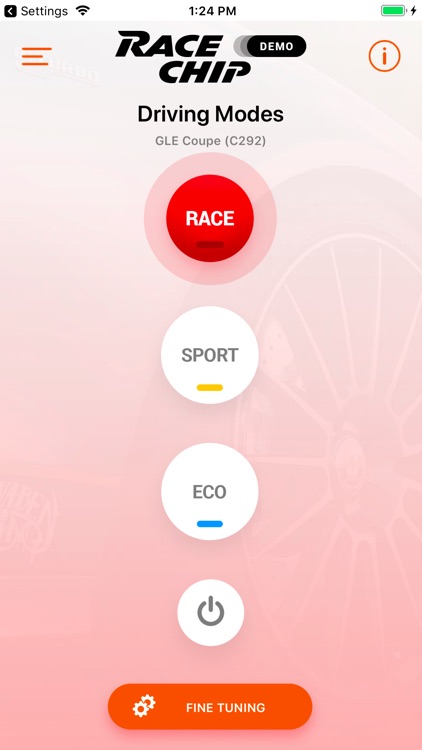 RaceChip+
