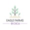 CHCA Eagle Farms is an innovative approach to the digital grocery shopping experience, driven by student-led entrepreneurship, rooted in sustainable practices, and supported by both the passions of hands-on education and locally grown food products