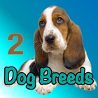 Top 43 Reference Apps Like Dog Breeds of the World - Best Alternatives