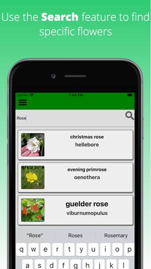 Flowers Dictionary Pro(圖4)-速報App