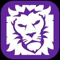 LionNation Official App app not working? crashes or has problems?