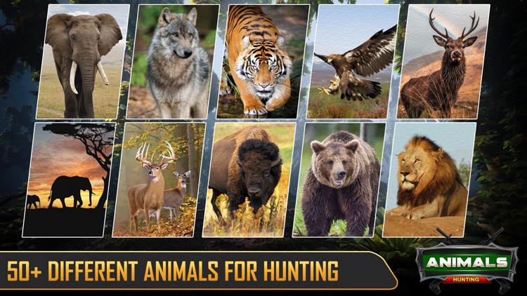 Hunting Games 2021 : Wild Deer
