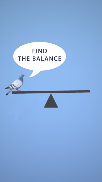 Balance Puzzle