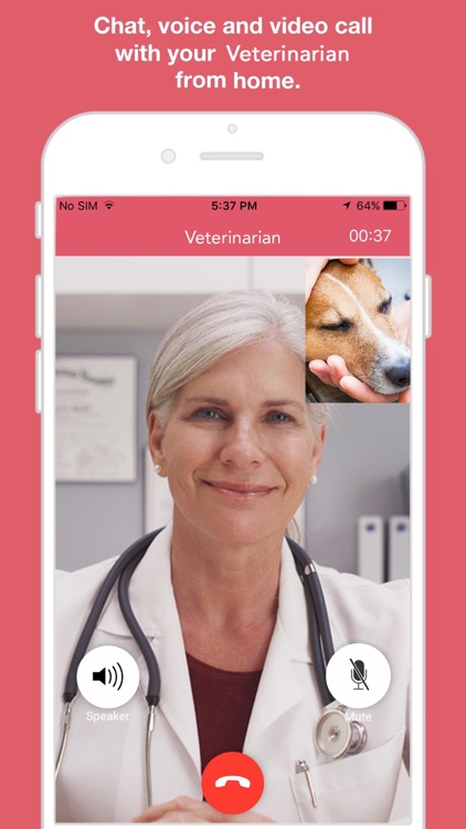 Veterinarian Online