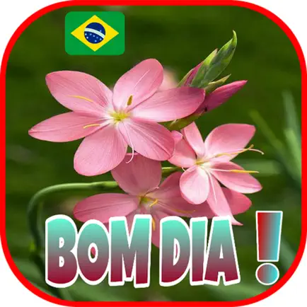 Bom Dia Gifs Boa Tarde Noite Читы