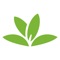 Pl@ntNet is an application that allows you to identify plants simply by photographing them with your smartphone