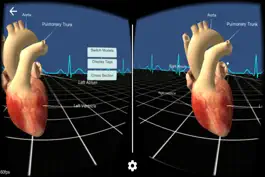 Game screenshot Living Heart for Cardboard VR mod apk