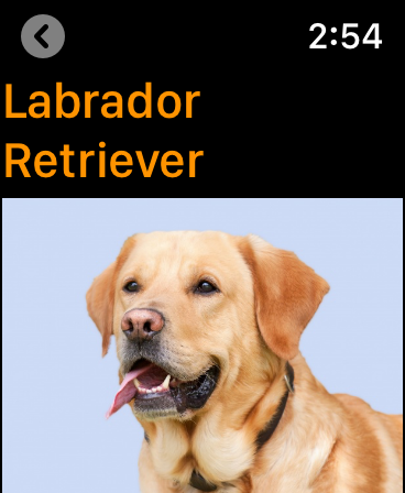 Screenshot #11 for Dogs Guide for Watch: Breeds