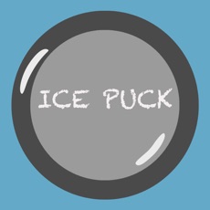 Activities of Ice Puck