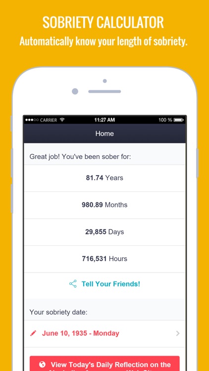 12 Steps AA App - Alcoholics screenshot-5