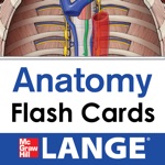 Lange Anatomy Flash Cards