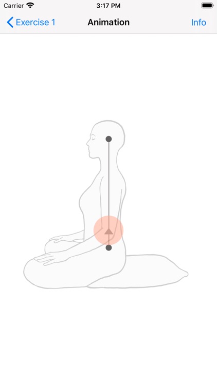 Meditation - 5 basic exercises screenshot-3