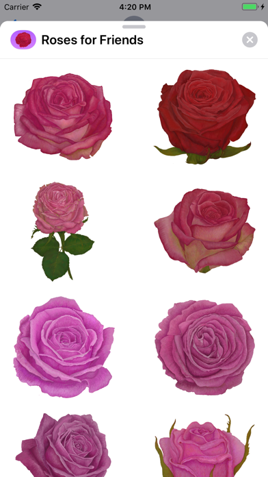 Roses for Friends Stickers screenshot 3