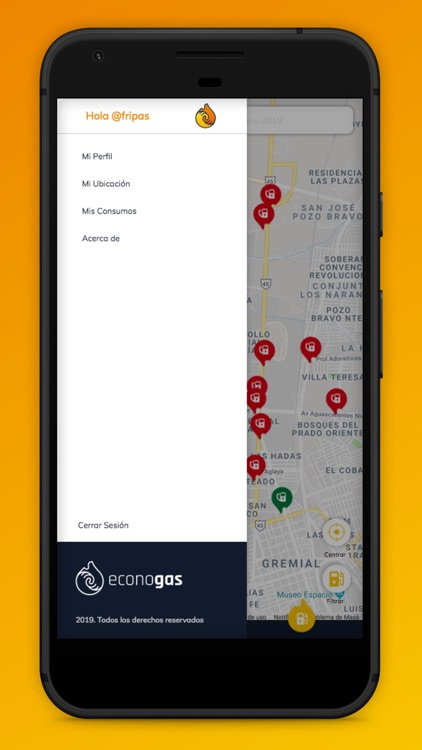 Econogas screenshot-4