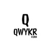 Qwykr Rider