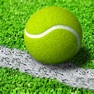 Get Ace of Tennis for iOS, iPhone, iPad Aso Report