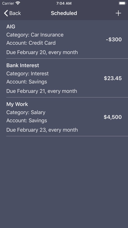 Debit & Credit screenshot-6