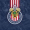 Noticias, promociones exclusivas y toda la historia del Rebaño Sagrado en un solo lugar: ¡La app oficial de Chivas